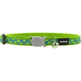 Red Dingo Obojek pro kočky Stars Turquoise on Lime