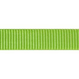 Red Dingo Vodítko přepínací 12 mm x 2 m Limetková