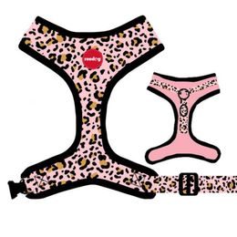 Reedog Kšíry pro psa LEO PINK