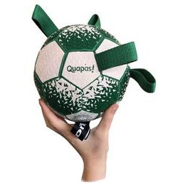 Quapas! Hračka pro psy Fotbalový míč L 20cm