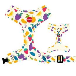 Reedog Kšíry pro psa FRUIT