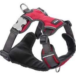Red Dingo Postroj polstrovaný XS 31-43cm