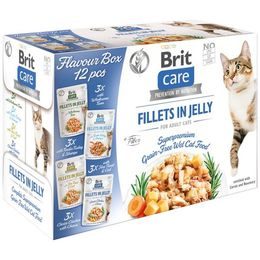 Brit Care Cat kapsička Flavour box Fillet in Jelly 12x85 g