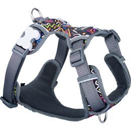 Red Dingo postroj polstrovaný Squiggles Black 25 mm x 72-112 cm