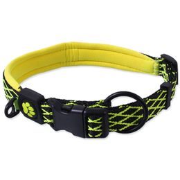 Active Dog Obojek Mystic M limetka 2x44-55cm