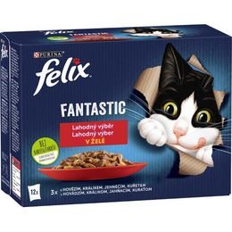Felix Cat kapsička Fantastic Multipack masový výběr 12x85 g