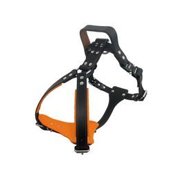 BafPet Speciální postroj na obranu s uchem černá