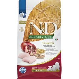 N&D ANCESTRAL GRAIN Dog LG Chicken Spelt Oats & Pomegranate Starter Puppy All Breeds 2,5 kg
