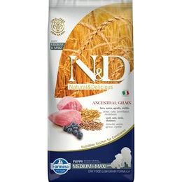 N&D ANCESTRAL GRAIN Dog LG Lamb, Spelt, Oats & Blueberry Puppy Medium & Maxi 12 kg