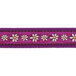 Red Dingo Vodítko přepínací 20 mm x 2 m Daisy Chain Purple