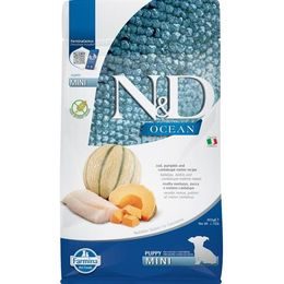 N&D OCEAN Dog GF Cod, Pumpkin & Cantaloupe Melon Puppy Mini 800 g