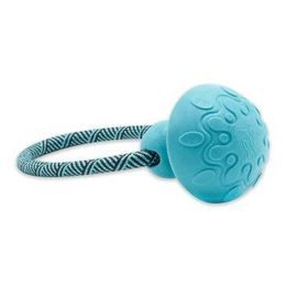 Akinu ČESKÝ LES Houba s provazem hračka pro psy nebeská modrá