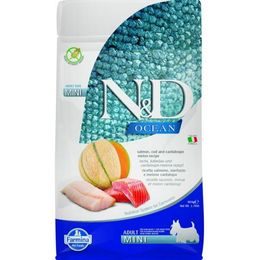 N&D OCEAN Dog GF Salmon, Cod & Cantaloupe Melon Adult Mini 800 g