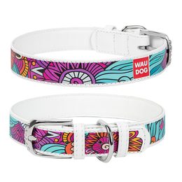 WAUDOG Obojek kožený Summer