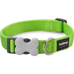 Red Dingo Obojek 25 mm x 41-63 cm Limetková