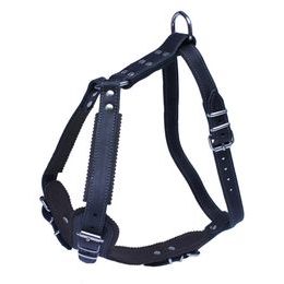 BafPet Kožený postroj JAGO s náprsenkou černá