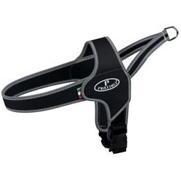 Trixie PRATIKO norwegian postroj Apollo