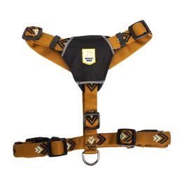 Woolly Wolf Sea To Summit Harness