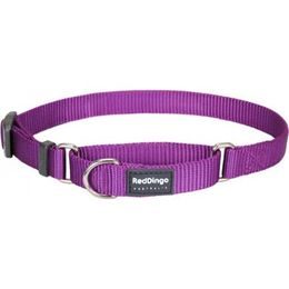 Red Dingo Obojek polostahovací 20 mm x 33-50 cm Fialová