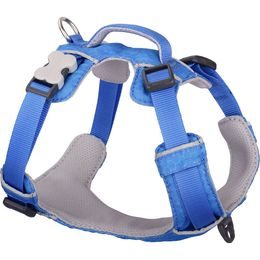 Red Dingo postroj Sport Electric Blue 12 mm x 31-43 cm