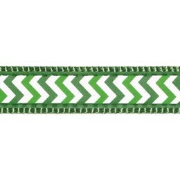 Red Dingo Vodítko přepínací 25 mm x 2 m Ziggy Rfx Zelená