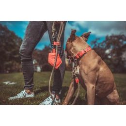 FUNKY DOG Červené lněné vodítko