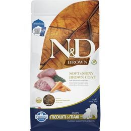N&D BROWN Dog GF Lamb Spirulina & Carrot Puppy Medium & Maxi 2 kg
