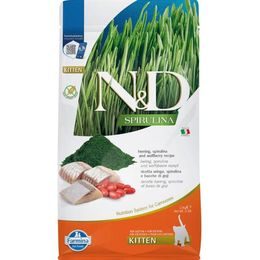 N&D SPIRULINA Cat GF Herring Kitten 1,5 kg