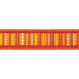 Red Dingo Vodítko přepínací 20 mm x 2 m Lotzadotz Orange