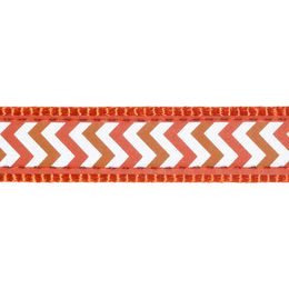 Red Dingo Vodítko přepínací 25 mm x 2 m Ziggy R Oranžová