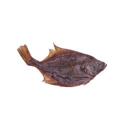 Løype Sušený platýs