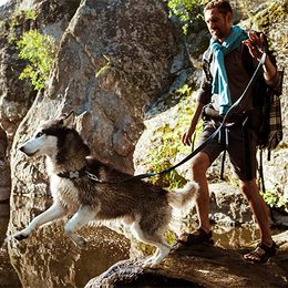 Co je to dogtrekking