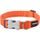 Red Dingo Obojek 15 mm x 24-37 cm Oranžová