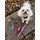 FUNKY DOG XXS Piñatex 1cm obojek a motýlek