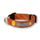 Woolly Wolf Roam Collar