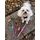 FUNKY DOG XXS Piñatex 1cm obojek a motýlek