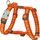 Red Dingo Postroj 25 mm x 56-80 cm Lotzadotz Orange