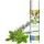 Gimborn IT GIMDOG šampon kratká srst 250ml