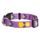 Woolly Wolf Northern Lights Collar
