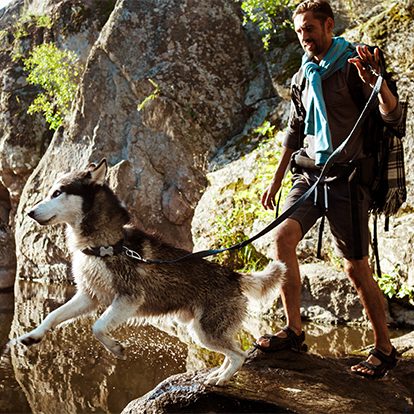 Co je to dogtrekking