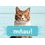 Granule pro kočky Fitmin