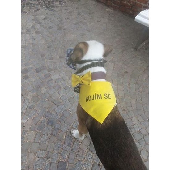 FUNKY DOG Žlutý šátek pro psa s nápisem