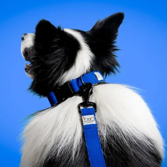 FUNKY DOG Konopné krátké vodítko pro psa 1,7 m tmavě modré