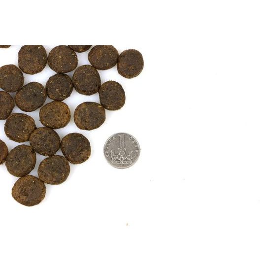 Doxneo Lamb jehněčí bez obilovin 12kg