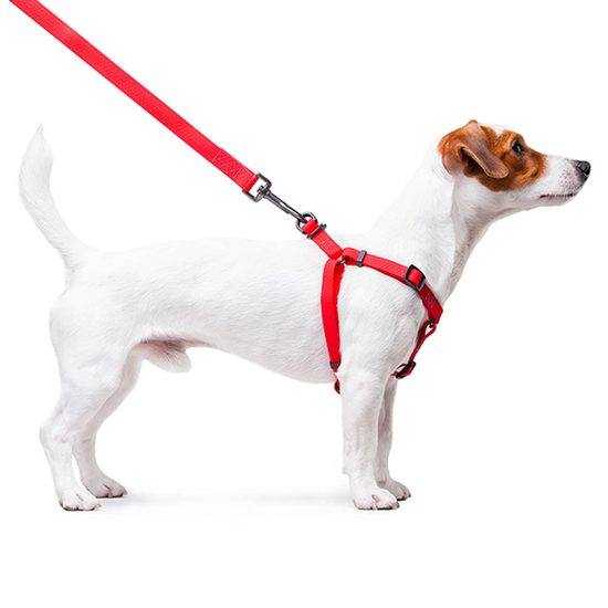 WAUDOG Postroj voděodolný Collartex QR fastex