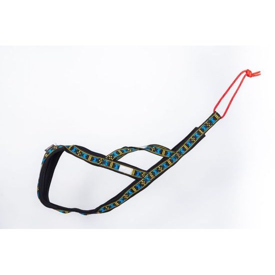 ManMat postroj SLED