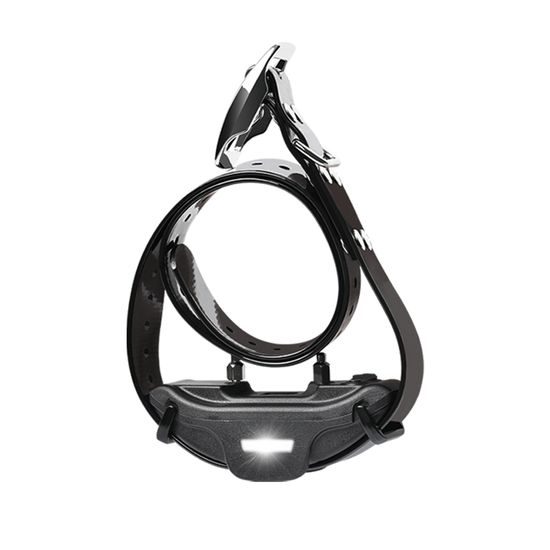 Reedog Elektronický obojek DT-4200