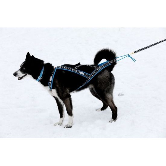 ManMat postroj RUN LONG