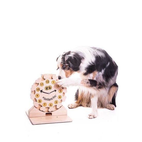 My Intelligent Pets Dřevěný hlavolam Clock
