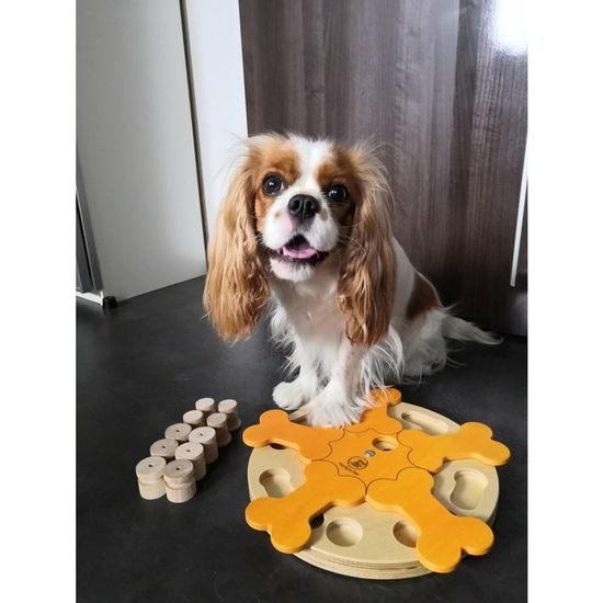 My Intelligent Pets Dřevěný hlavolam Bone's carousel/obtížnost 1-4